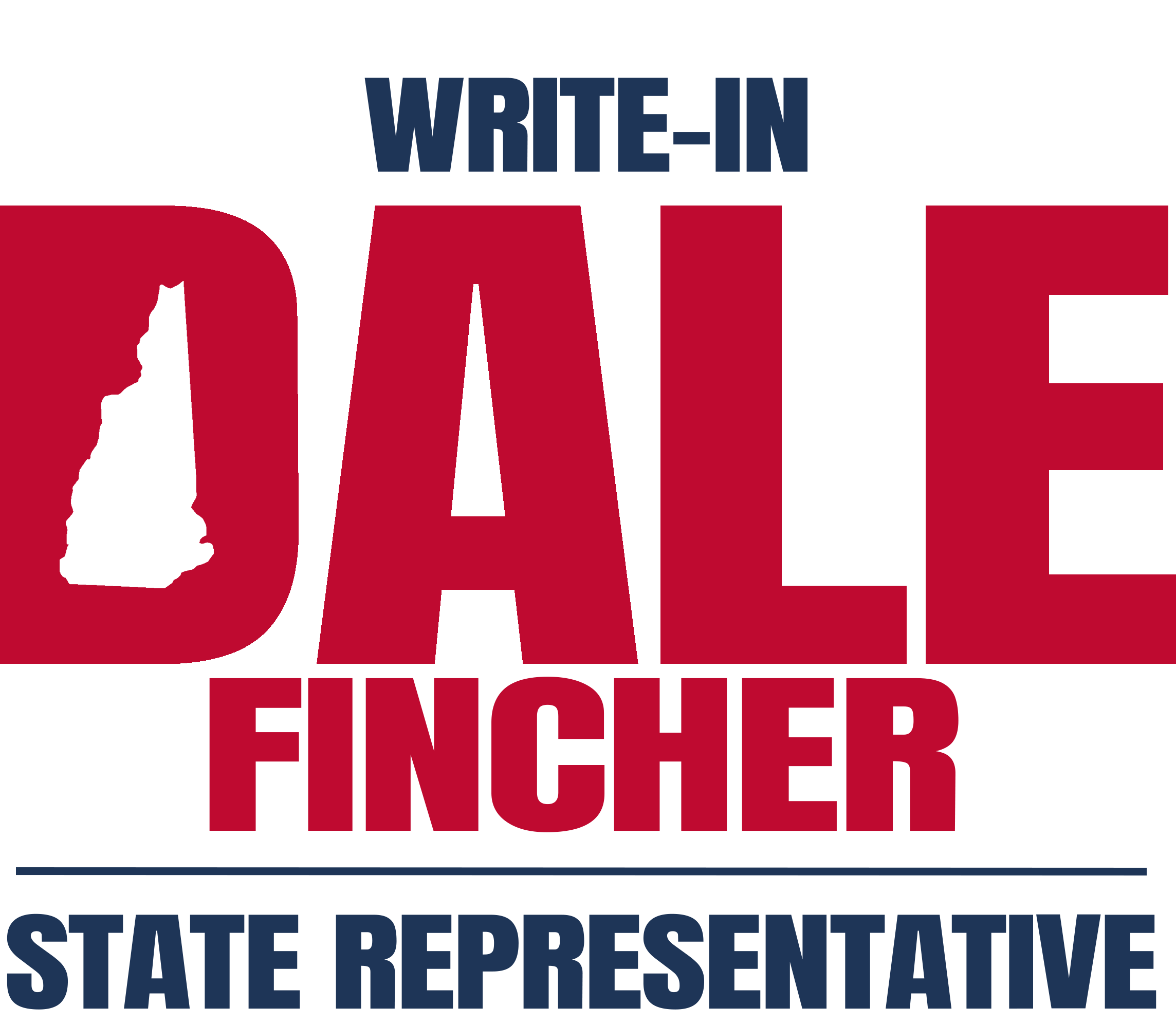 write-in dale fincher for state representative